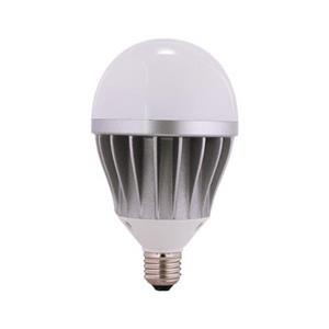 Lighting Foroozesh FSL LED bulb 