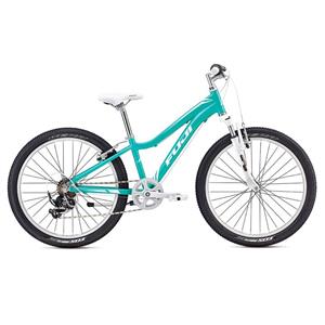 دوچرخه کوهستان فوجی مدل Dynamite Sport سایز 24 Fuji- Dynamite Sport Mountain Bike Kids Size 24