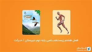 فصل هشتم زیست¬شناسی پایه دوم دبیرستان / حرکت