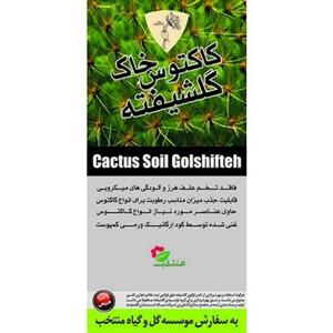 خاک مخصوص کاکتوس