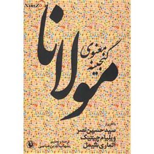 گنجینه معنوی مولانا