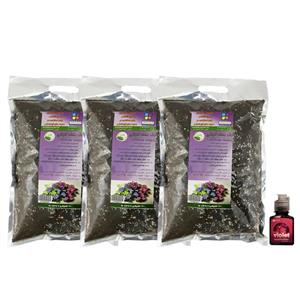 مجموعه خاک بنفشه آفریقایی گلباران سبز Golbaranesabz African Violet Soil Pack