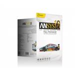 Ansys Product 19 JB