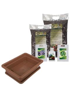 مجموعه کاشت سبزی ریحان گلباران سبز Golbaranesabz Basil Gardening Pack
