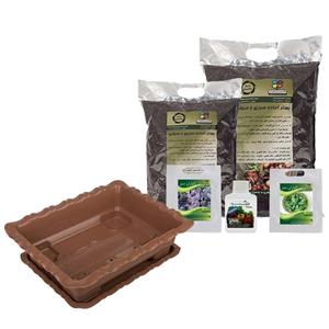مجموعه کاشت سبزی ریحان گلباران سبز Golbaranesabz Basil Gardening Pack