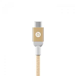 Adam Elements CASA M100 USB-C to USB 3.0 100cm Cable - Gold 