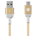 Adam Elements CASA M100 USB-C to USB 3.0 100cm Cable - Gold