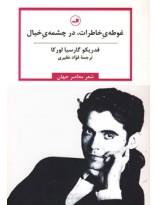 غوطه ی خاطرات،در چشمه ی خیال