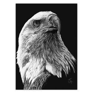 تابلوی ونسونی طرح Scratchboard Art Eagle سایز 30 × 40 Wensoni Chassis Size x 