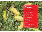بذر خربزه کشیده مینو melon