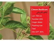 بذر تخم شربتی -cimum basillcum