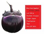 بذر بادمجان سیاه گرد - Black sweet eggplant