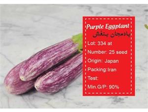 بذر بادمجان بنفش - Purple elegant