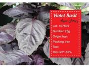 بذر ریحان سیاه-violet basil