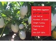 بذر بادمجان سفید گلدانی - Mini white eggplant