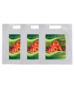 مجموعه بذر گوجه فرنگی گلباران سبز بسته 3 عددی Golbaranesabz Tomato Seeds Pack Of 