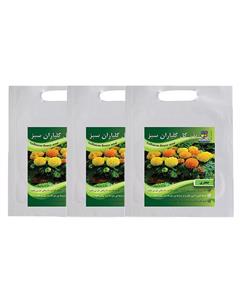 مجموعه بذر گل جعفری گلباران سبز بسته 3 عددی Golbaranesabz Marigold Flower Seeds Pack Of 3