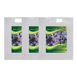 مجموعه بذر ریحان بنفش گلباران سبز بسته 3 عددی Golbaranesabz Red Rubin Basil Seeds Pack Of 3