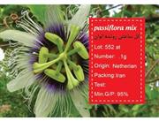 بذر گل ساعتی رونده الوان PASSION FLOWER