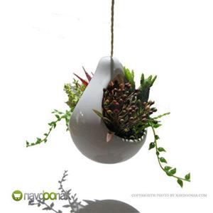 گلدان مصنوعی کاکتوس آویز طرح شکری