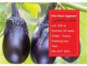 بذر بادمجان سیاه گلدانی - Mini black eggplant