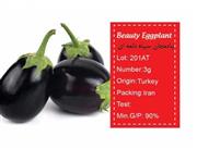 بذر بادمجان سیاه -beauty eggplant 