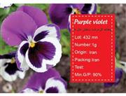 بذر گل بنفشه Seeds of violets