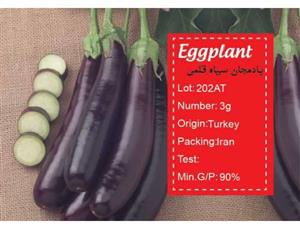 بذر بادمجان سیاه قلمی -egg plant