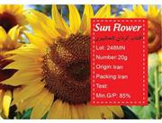 بذر آفتابگردان شمشمیری -sun flower