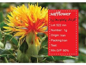 بذر گلرنگ پا متوسط زرد African safforn 