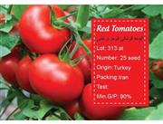 بذر گوجه فرنگی قرمز درختی - Red tomatoes