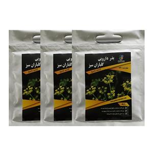 مجموعه بذر رازیانه گلباران سبز بسته 3 عددی Golbaranesabz Foeniculum Vulgare Seeds Pack Of 3