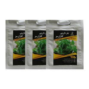 مجموعه بذر مرزنجوش گلباران سبز بسته 3 عددی Golbaranesabz Origanum Majorana Seeds Pack Of 3