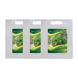 مجموعه بذر بادرنجبویه گلباران سبز بسته 3 عددی Golbaranesabz Lemon Balm Seeds Pack Of 3