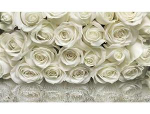 پوستر دیواری رز سفید White roses photo wall mural