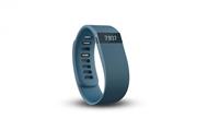 ساعت و مچ بند هوشمند  دستبند Fitbit Charge Wristband Salt- Small