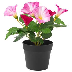 گل مصنوعی با گلدان  مدل  FEJKA Ikea Fejka Artificial Pink Flower And Pot