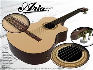 ARIA AK30 CE