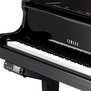 YAMAHA DGB1KE3 PE | پیانو آکوستیک Yamaha DGB1KE3 Disklavier Grand Piano