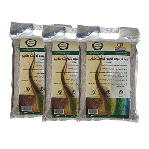 کود گرانوله کریس کولیت طلایی 1 کیلوگرمی گلباران سبز بسته سه عددی Golbarane Sabz Golden Cris Colit Granole Fertilizer 1 Kg Pack Of 3