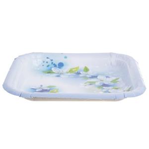 بشقاب یکبار مصرف گلبهار کد 3-601185 بسته 10 عددی