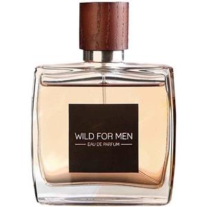 ادو پرفیوم مردانه استاویتا مدل Wild حجم 100 میلی لیتر به همراه کرم پودر  لنسور مدل Color Makeup 04 Stavita Wild Eau De Parfum For Men 100ml With Lansur Color Makeup 04 Foundation