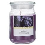 شمع اولد ویلیامزبرگ مدل Mulberry U201161