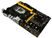 MB: Biostar Motherboard TB250-BTC Pro