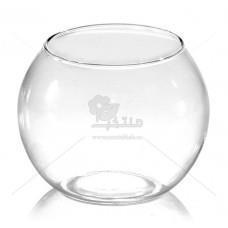 گلدان شیشه ای ساده تراریوم 19 سانتی متری