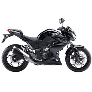 موتورسیکلت کاوازاکی مدل Z250 سال 2016 Kawasaki Z250 2016 Motorbike