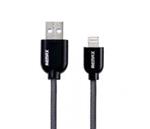 Remax Quick Charge & Data Lightning to USB Cable