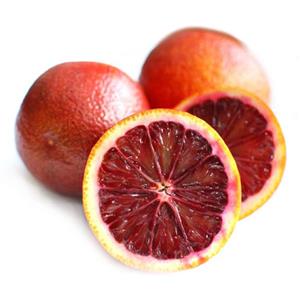 نهال پرتقال خونی سانگین (روسرخ اناری)