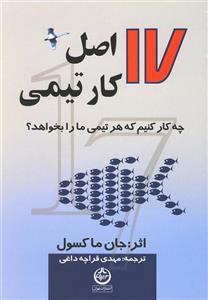 17 اصل کار تیمی