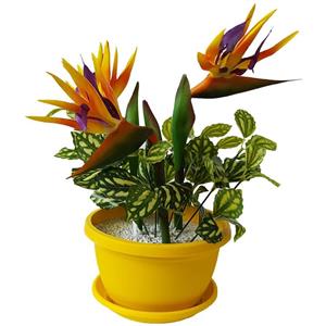 گلدان گل برتاریو مدل پرنده بهشتی Bertario Bird Of Paradise Flower Vase